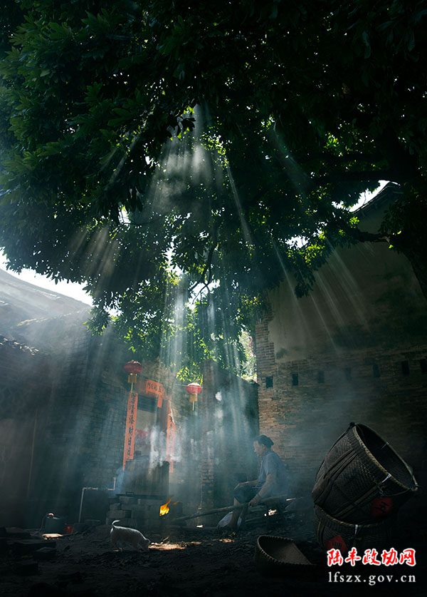 《鄉(xiāng)里人家》吳燕峰 攝