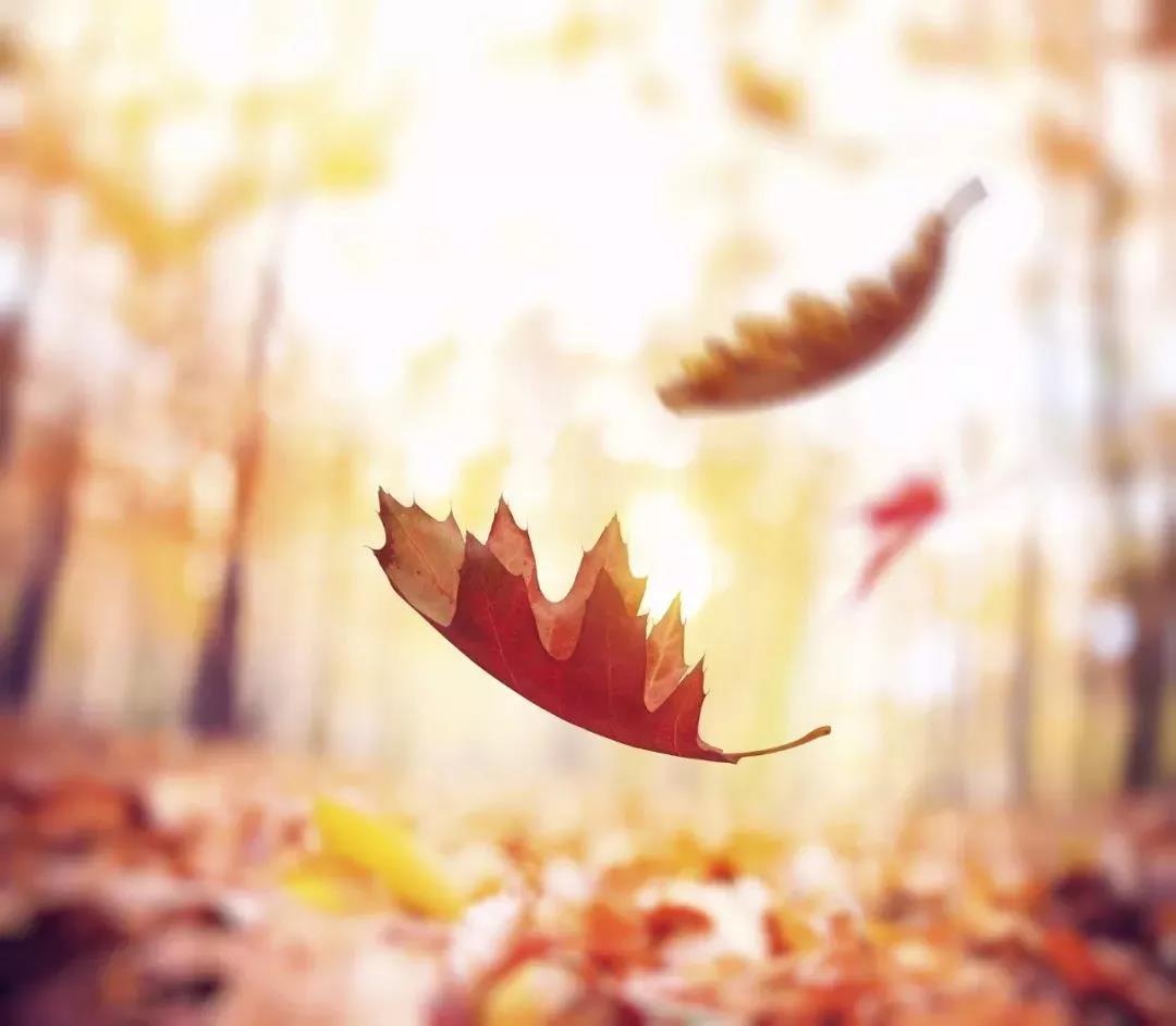 微信圖片_20180923174108