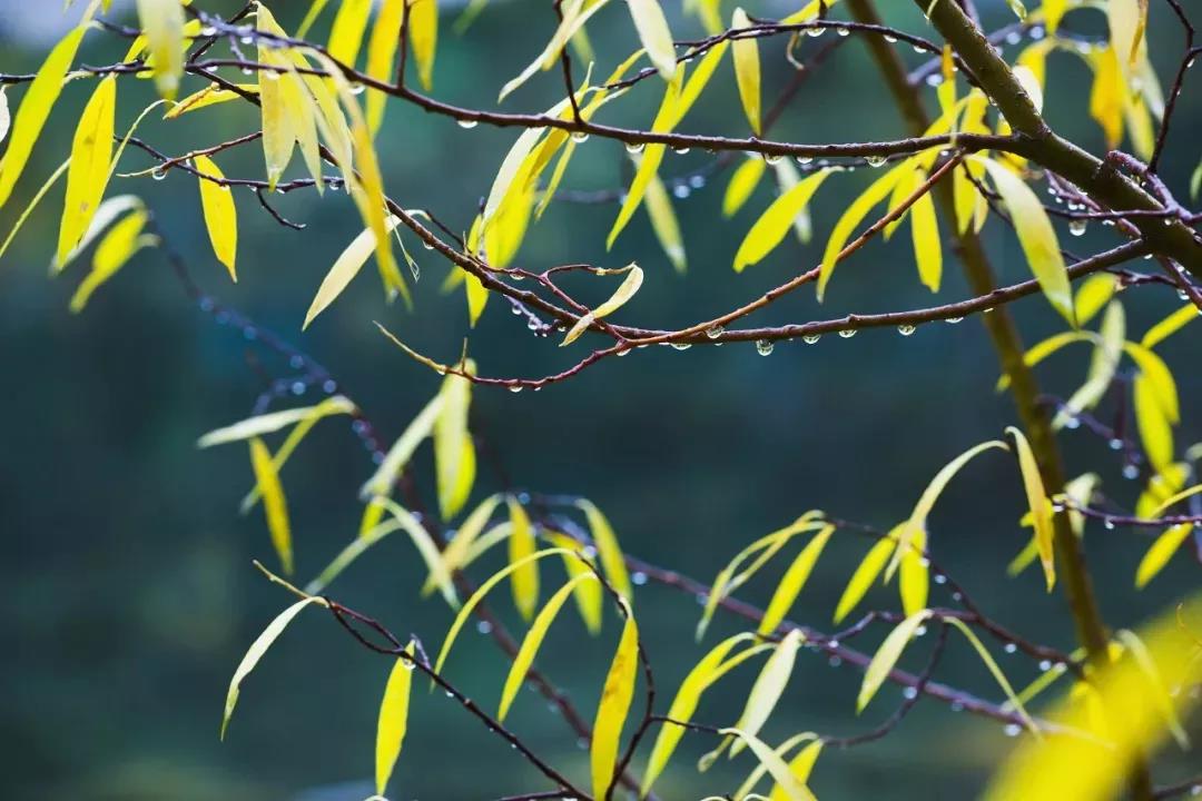 微信圖片_20180923174100