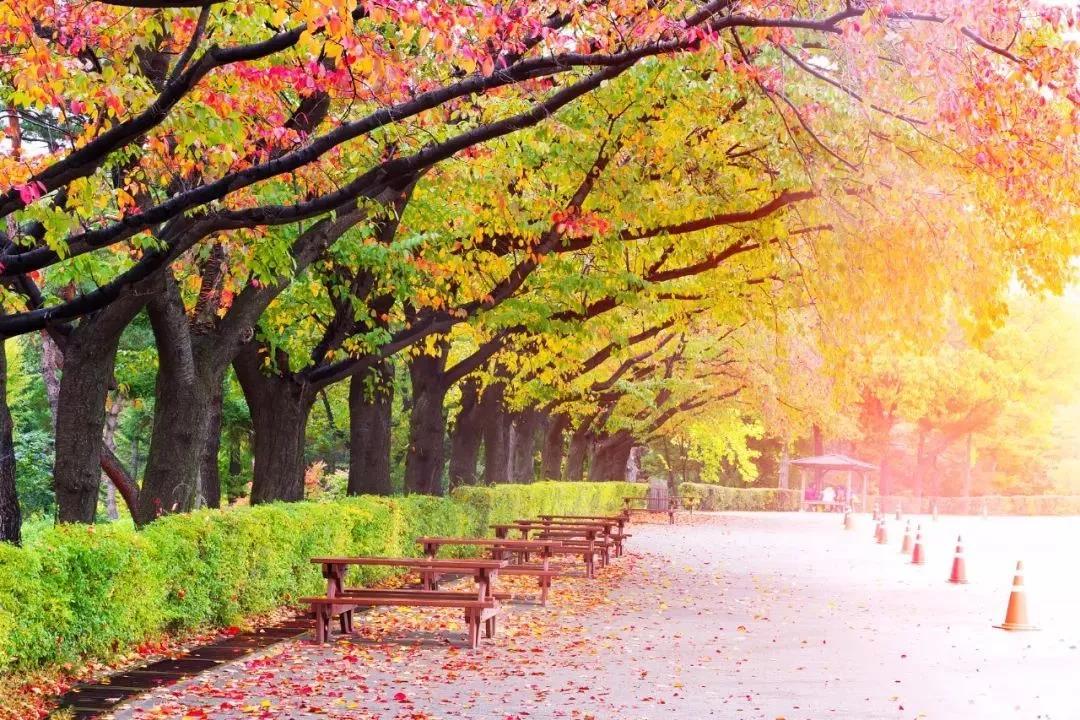 微信圖片_20180923174104