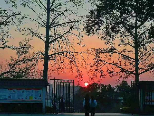 微信圖片_20181027170153