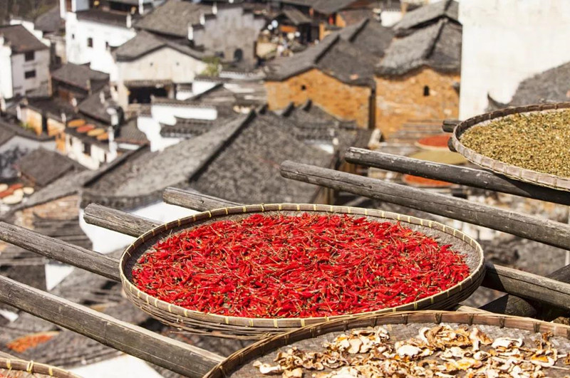 微信圖片_20181017092431_副本