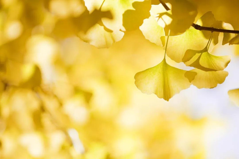 微信圖片_20181017092448_副本