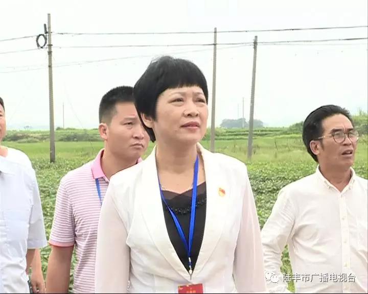 微信圖片_20190506090304