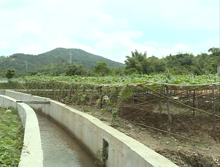 微信圖片_20190725100925