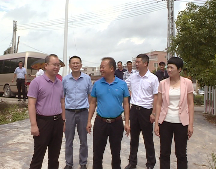 李漢流帶隊調研農村人居環境整治_11050